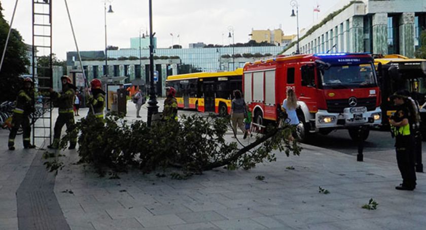 Ułamany konar drzewa na chodniku, straż pożarna.
