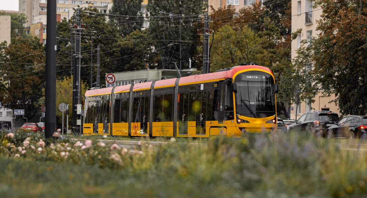 Komunikacja, Gigantyczne opóźnienia tramwajów centrum Tramwajowy paraliż Pawła - zdjęcie, fotografia