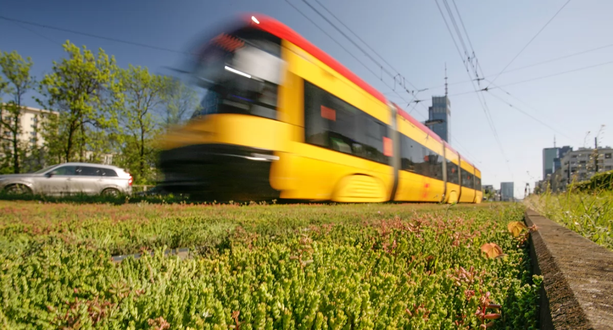Ulice, Tramwaje wracają trasę przez Słomińskiego Gdański! - zdjęcie, fotografia