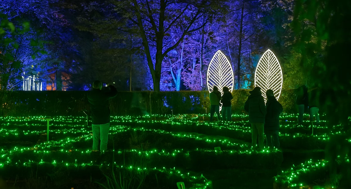 Magiczny Botaniczny już DZIŚ wraca do Warszawy. Ogród rozbłyśnie milionem świateł