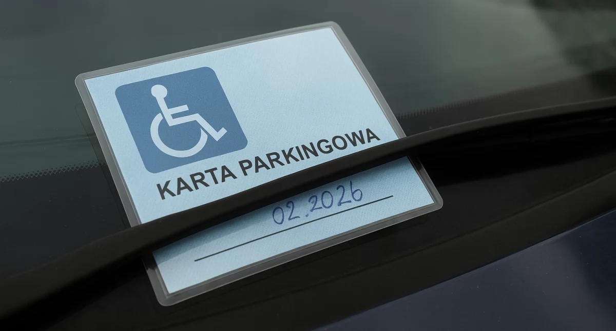 Działania służb, Fałszywe karty parkingowe kolejna ujawniona próba oszustwa - zdjęcie, fotografia