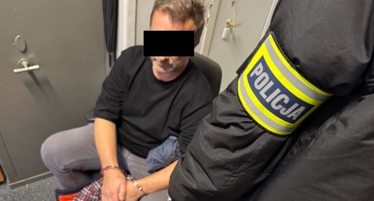 Działania służb, tysięcy plików pornografią dziecięcą latek ZATRZYMANY - zdjęcie, fotografia