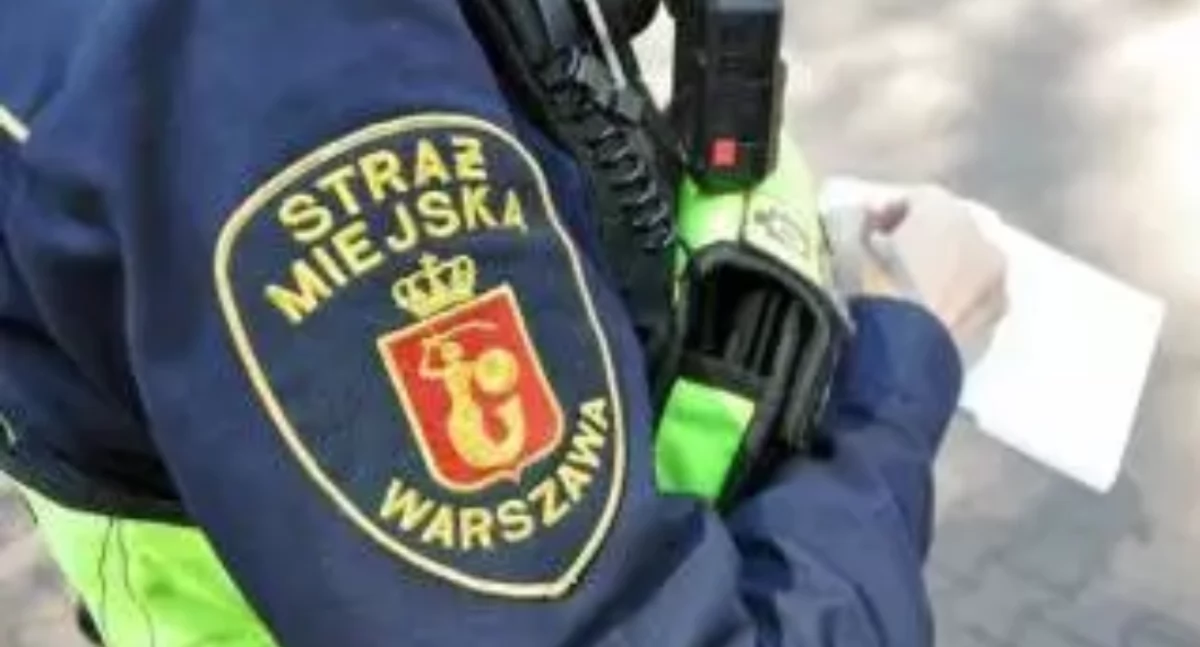 Działania służb, latek UWIĘZIONY zimnym samochodzie interwencja strażników Starym Mieście - zdjęcie, fotografia