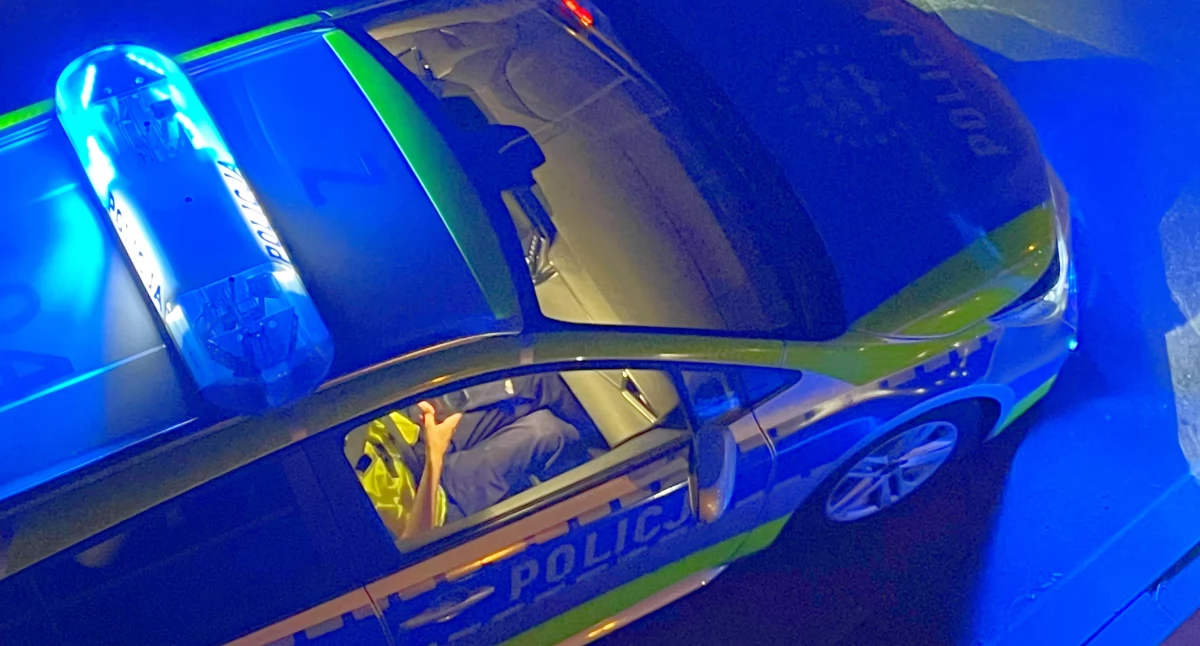 Działania służb, Seria morderstw stolicy  hydraulik oszust zarzutami - zdjęcie, fotografia