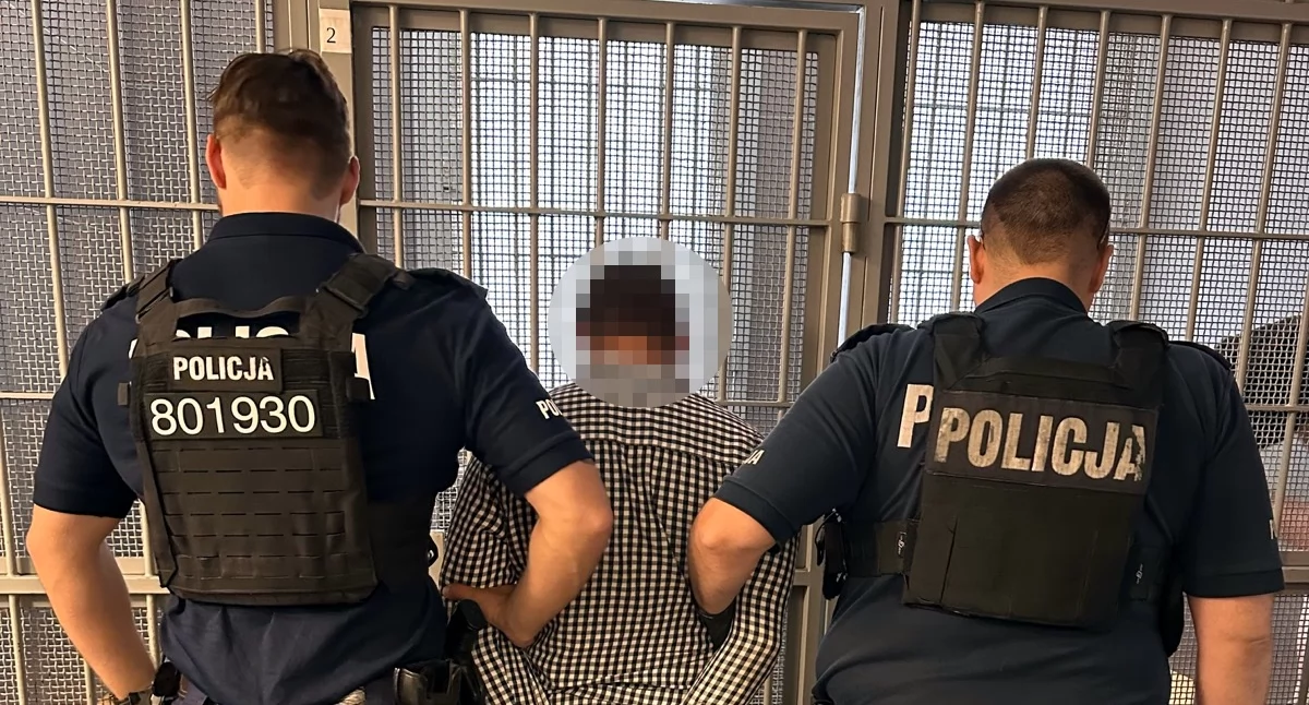 Działania służb, Kierowca przewozu osób prawa jazdy Chciał przekupić policjantów - zdjęcie, fotografia