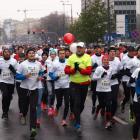 zdjęcie nr 201