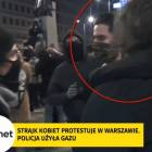 Fotka nr 2 z 5
