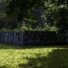 Fotka nr 0 z 5