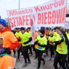 zdjęcie nr 25