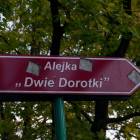 Fotka nr 5 z 7