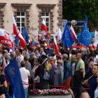 zdjęcie nr 252