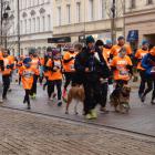 zdjęcie nr 33