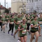 zdjęcie nr 285