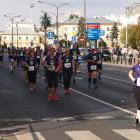 zdjęcie nr 252