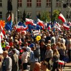 zdjęcie nr 16