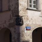 zdjęcie nr 8
