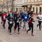 zdjęcie nr 176