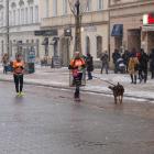 zdjęcie nr 174