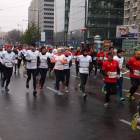 zdjęcie nr 184