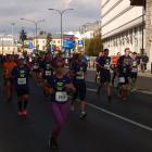 zdjęcie nr 102