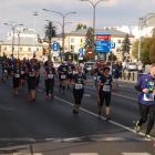 zdjęcie nr 250