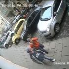 Fotka nr 1 z 3