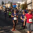 zdjęcie nr 240
