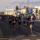 zdjęcie nr 258
