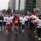 zdjęcie nr 160