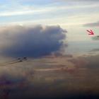 ptak czy dron?
