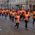zdjęcie nr 50