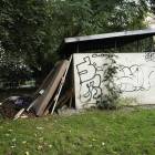 Fotka nr 4 z 7