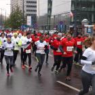 zdjęcie nr 240
