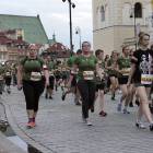 zdjęcie nr 279