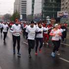 zdjęcie nr 185