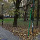 zdjęcie nr 7