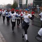 zdjęcie nr 250