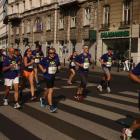 Fotka nr 4 z 201