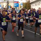 zdjęcie nr 183