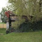 zdjęcie nr 18