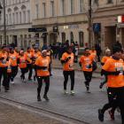 zdjęcie nr 168