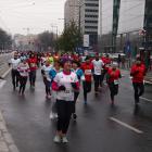 zdjęcie nr 95
