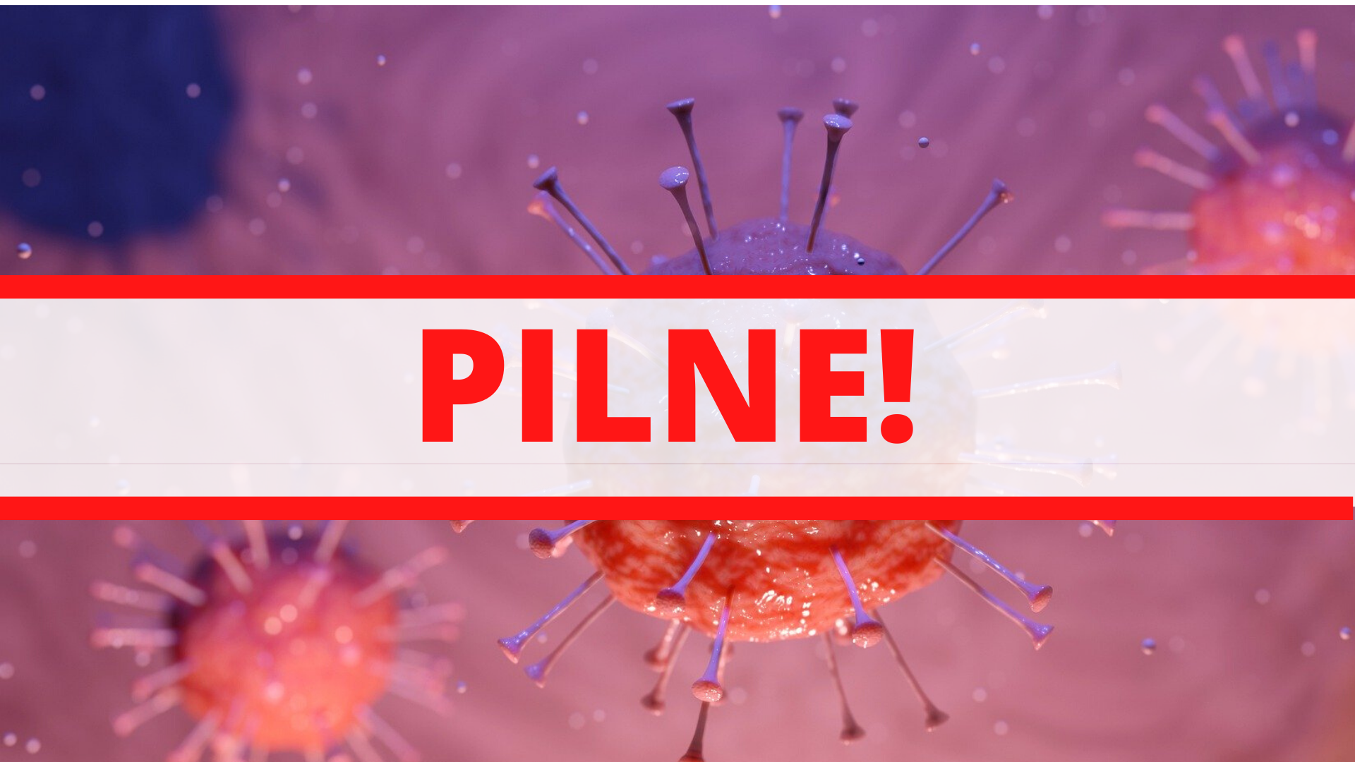 Zdjęcie: Warszawa śródmieście wiadomości Gmina Centrum Warszawa Portal Warszawa centrum