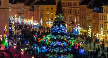 Iluminacje – gdzie je znaleźć? Sprawdź mapę świątecznych atrakcji