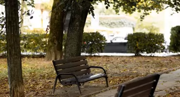 400 tys. złotych na zieleń! Kolejny etap prac na placu Trzech Krzyży