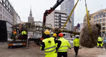Warszawa coraz bardziej zielona - setki nowych drzew w Śródmieściu