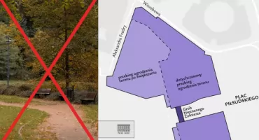 MASOWA WYCINKA DRZEW w Ogrodzie Saskim pod budowę Pałacu Brühla